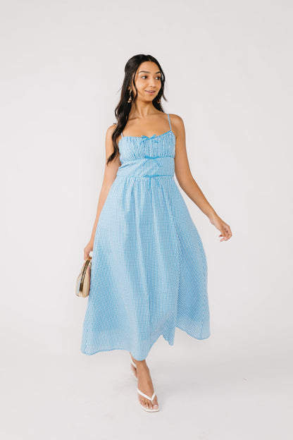 Picnic At the Park Dress